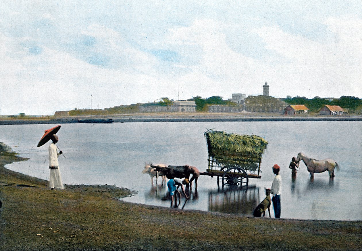 锡兰科伦坡，c1890 作者 吉洛特