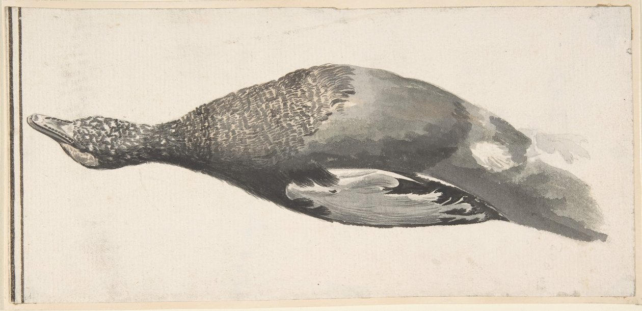 死鸭子，1685-1755。 作者 乔治·杜兰特