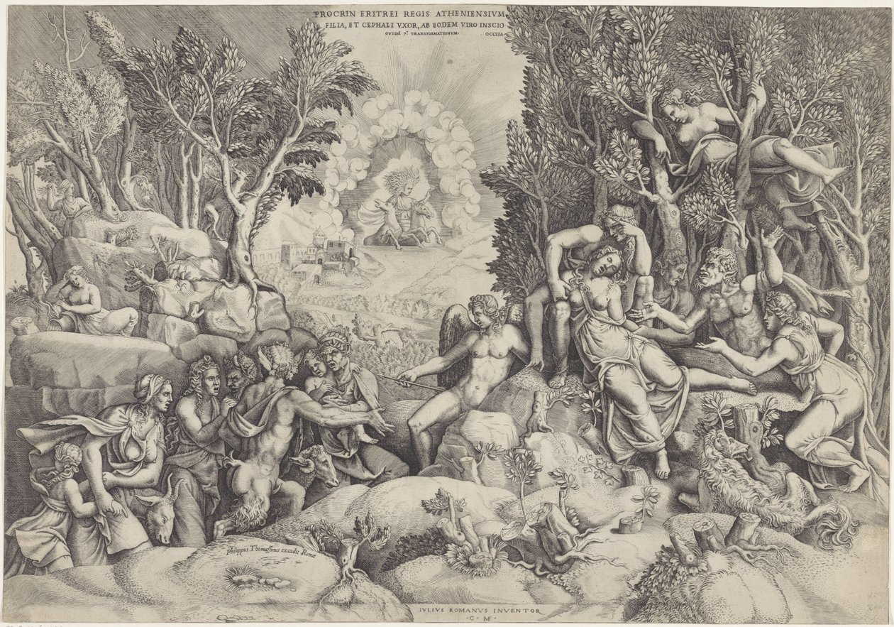 塞法勒斯和森林之神哀悼普洛克丽丝之死
Procrin eritrei regis atheniensium / Filia, et Cephali uxor, ab eodem viro inscio（标题为实物） 作者 乔治·吉西（Giorgio Ghisi）