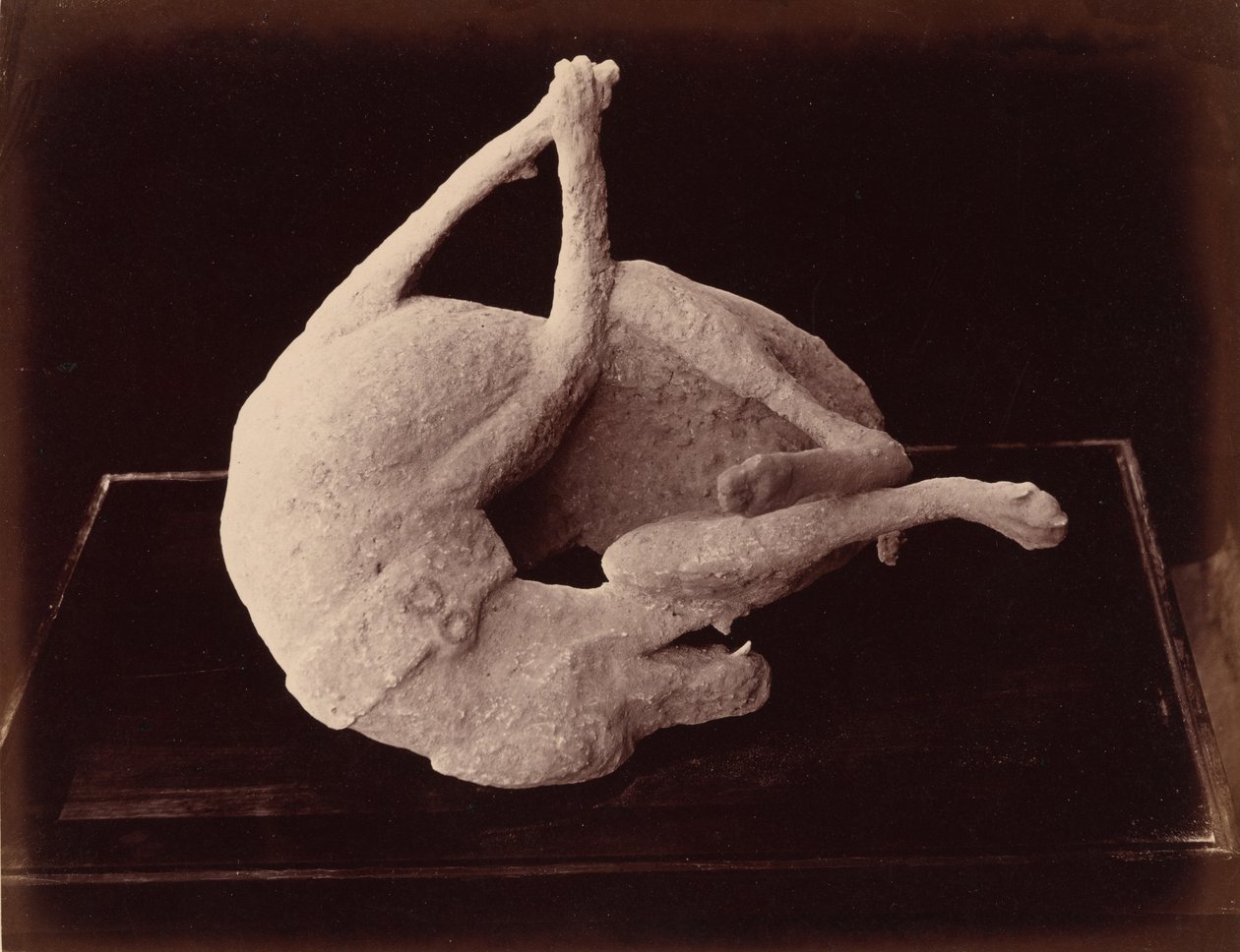 铸件，庞贝，约1870 年（照片） 作者 乔治·夏