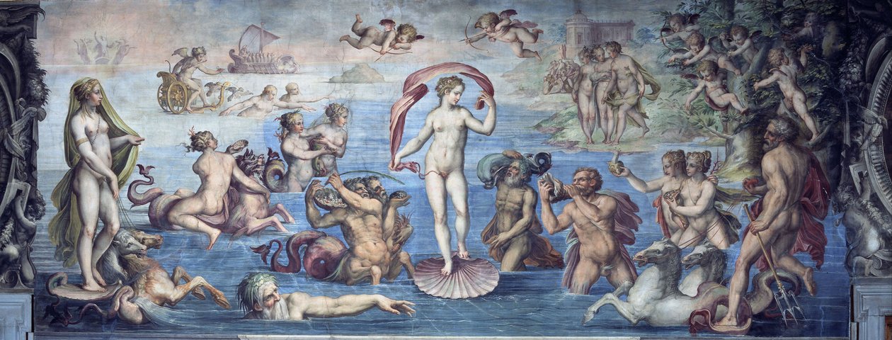 金星的诞生，1556-1557年 作者 乔治·瓦萨里（Giorgio Vasari）