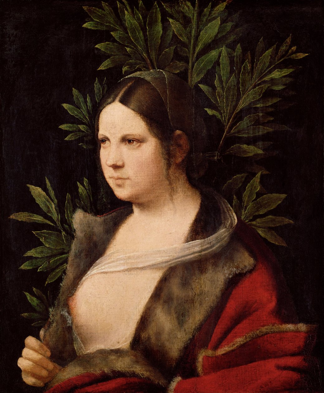 劳拉年轻女子，1506年 作者 Giorgione da Castelfranco