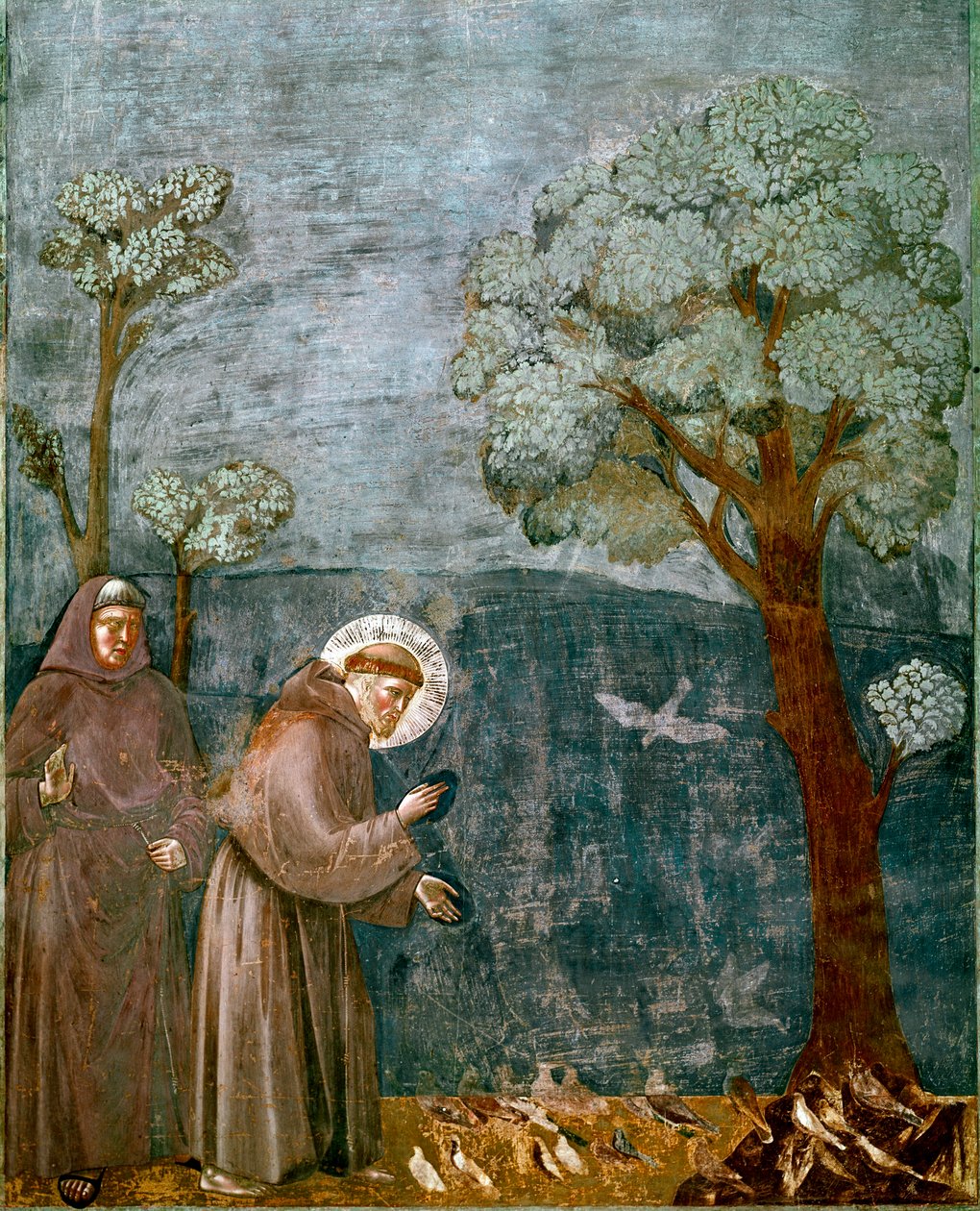 阿西西 (San Francesco) 的圣弗朗索瓦 (Saint Francois) 生平集：“鸟类的预言””乔托 (Ambrogio di Bondone) 的壁画 作者 乔托（c.1266 1337）