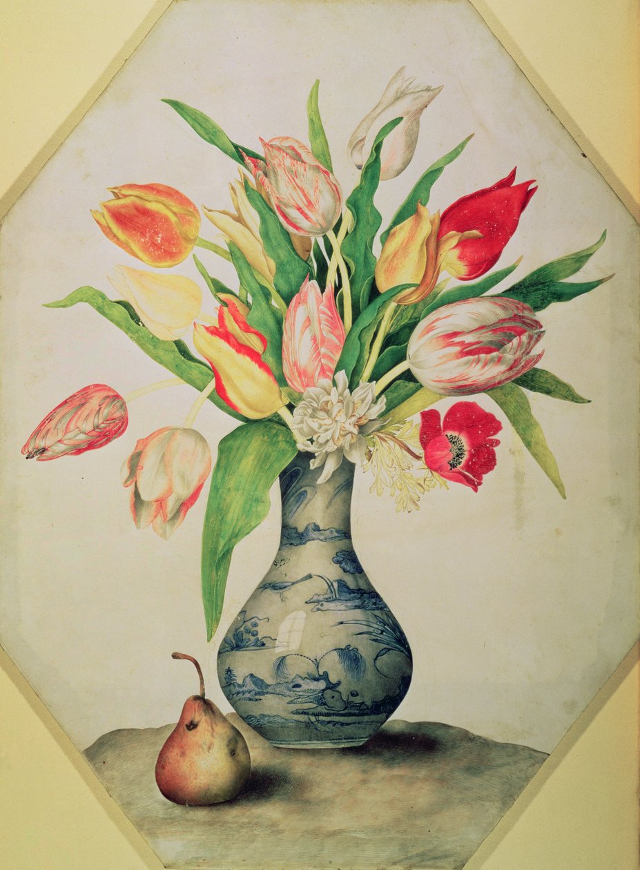 蓝色中国郁金香花瓶（牛皮纸上的蛋彩画） 作者 乔万娜·加佐尼（Giovanna Garzoni）