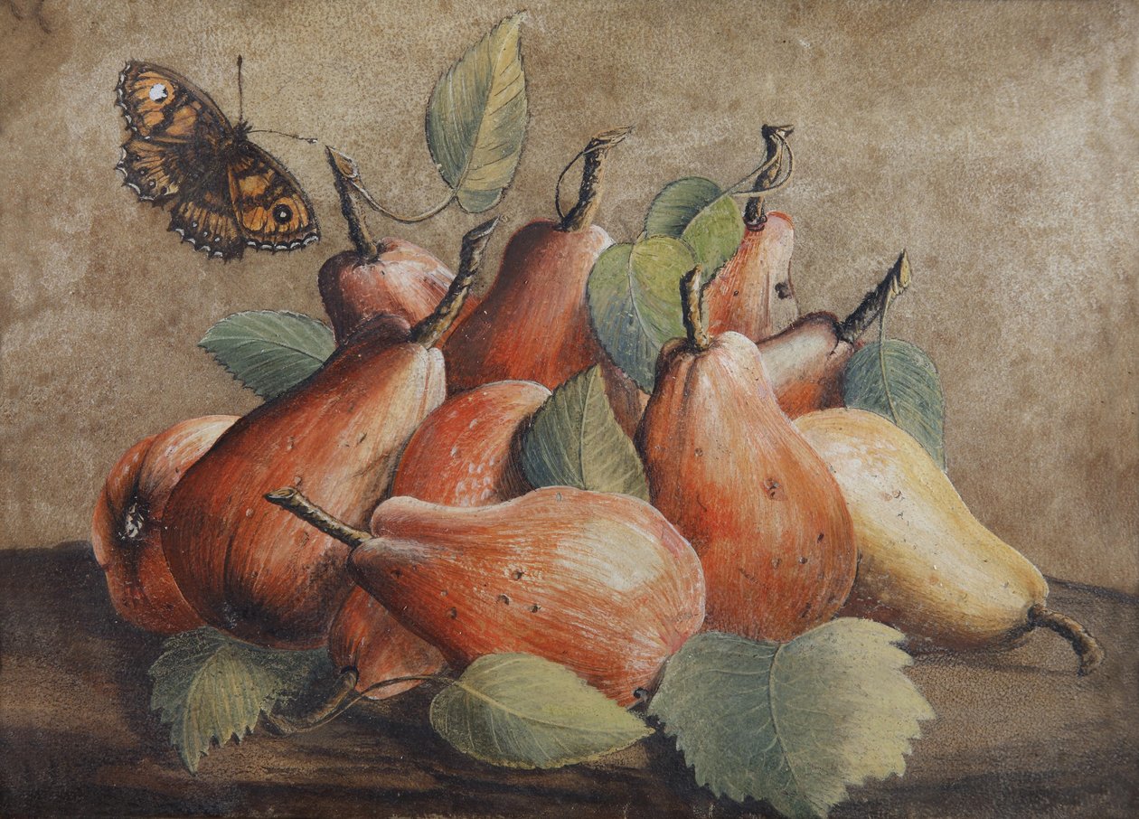 静物画用梨和蝴蝶 作者 乔万娜·加佐尼（Giovanna Garzoni）