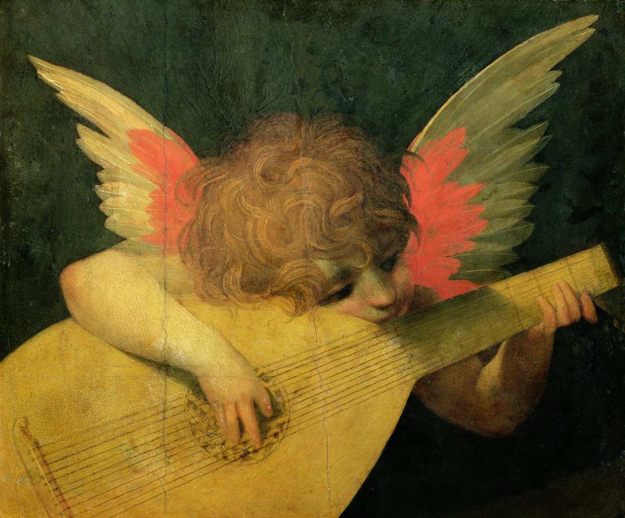 Angel Musician，c.1520（面板上的蛋彩画） 作者 乔凡尼·巴蒂斯塔·罗索·菲奥伦蒂诺