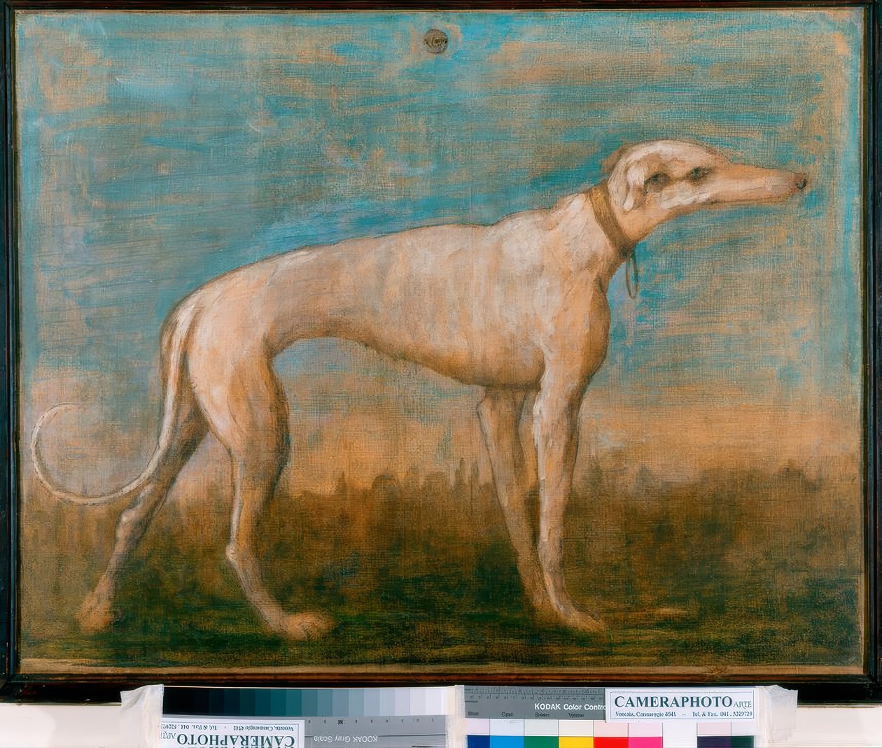 灰猎犬 作者 乔凡尼·巴蒂斯塔·提埃波罗