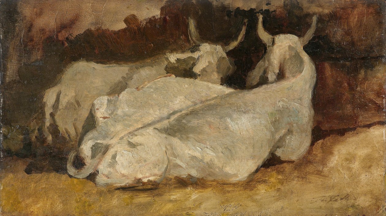 躺着的奶牛 作者 乔凡尼·法托里（Giovanni Fattori）
