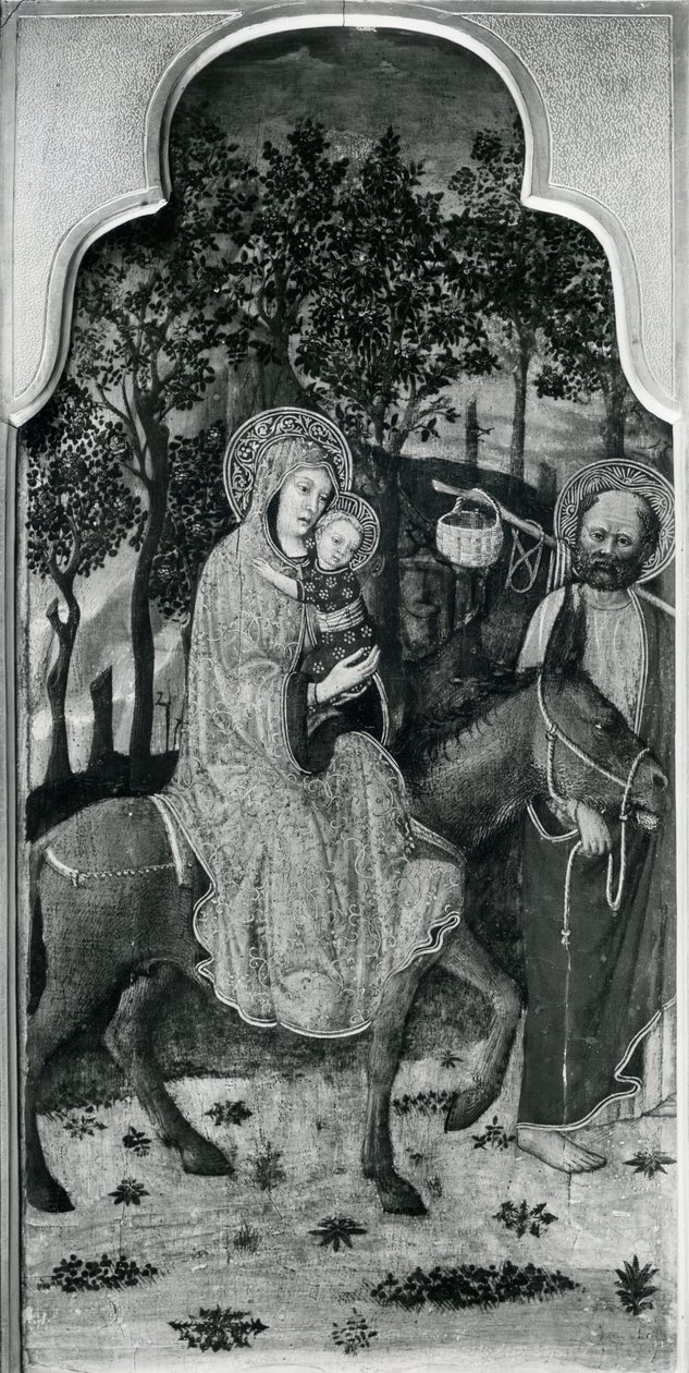 处女的生命周期，飞往埃及，c.1445石油杨树面板bw照片 作者 乔万尼·弗朗切斯科·达里米尼