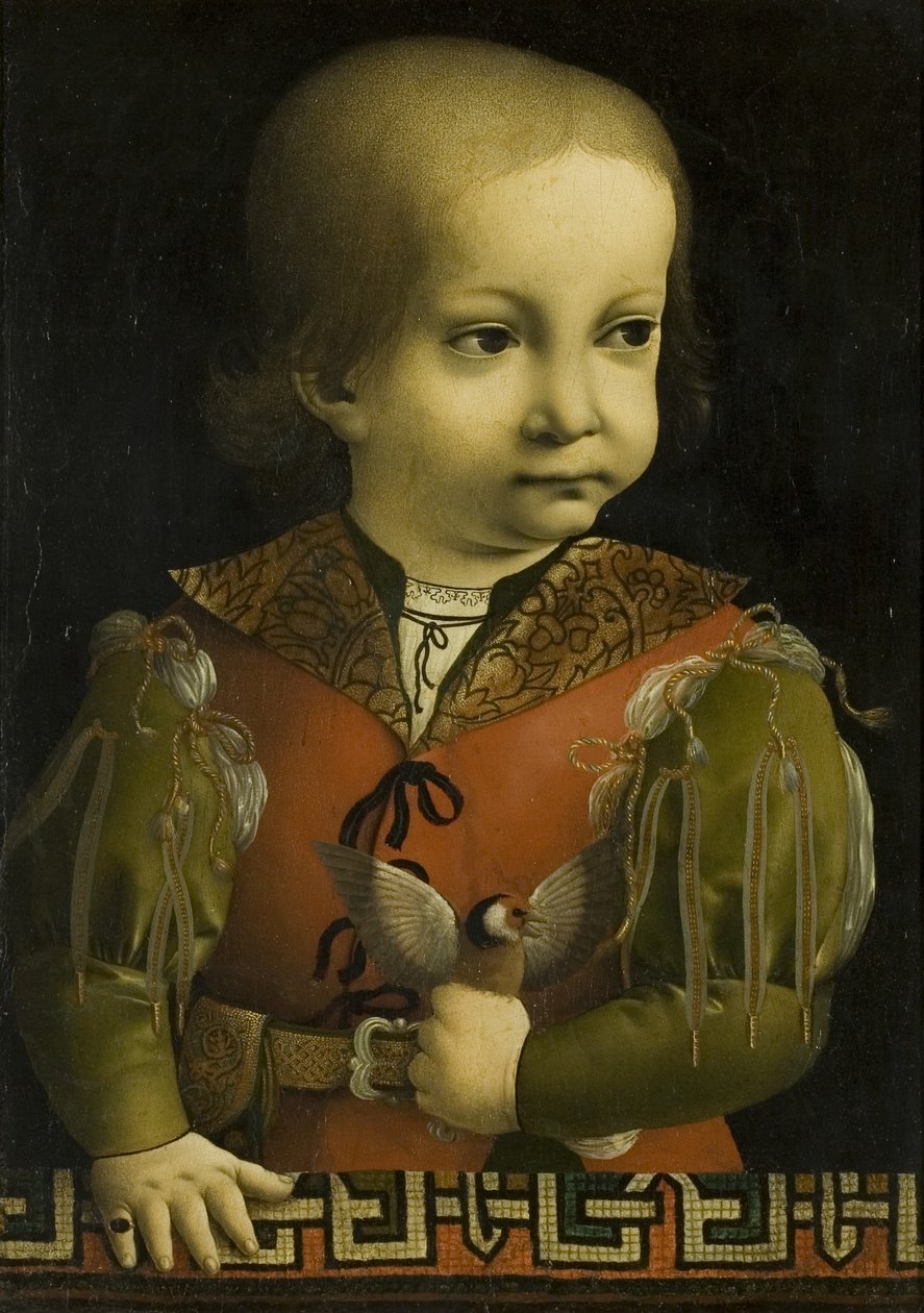 弗朗切斯科·斯福尔扎（Francesco Sforza）小时候（布面油画） 作者 乔凡尼·安布罗焦·德·普雷迪斯