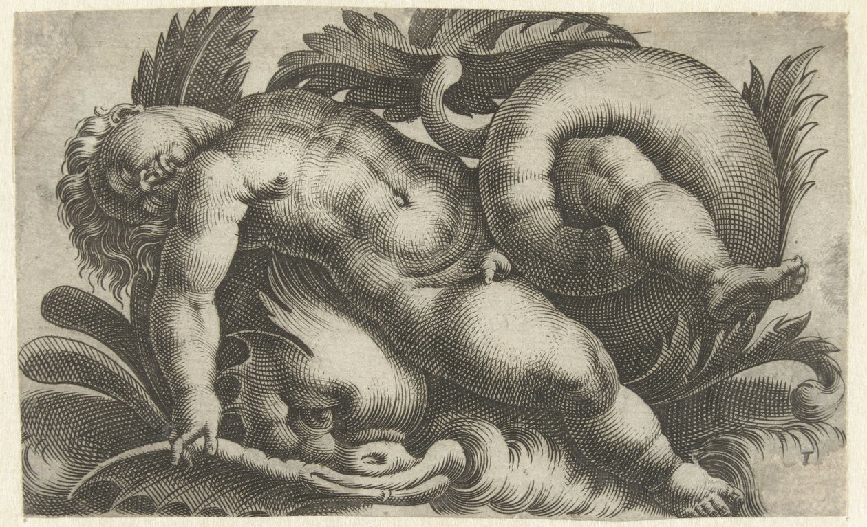海豚上沉睡的普托
海洋生物上的普托（系列名称） 作者 乔瓦尼·安德里亚·马廖利