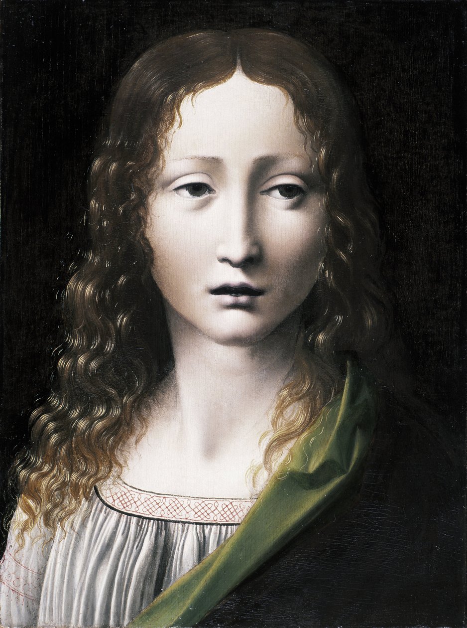 萨尔瓦多青少年队（The Salavi Adolescent Saviour，1490-1495） 作者 乔瓦尼·安东尼奥·博尔特拉菲奥