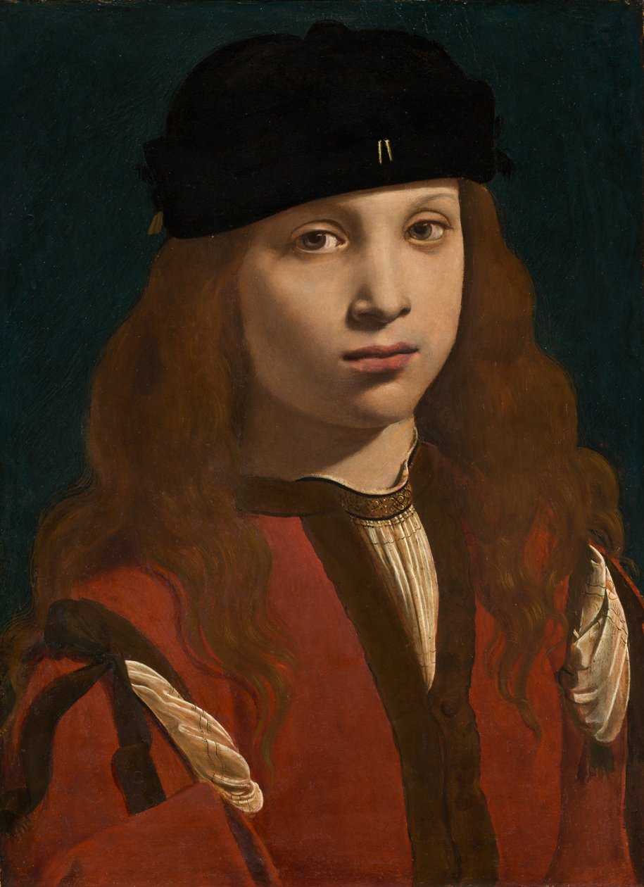 一个青年的肖像，约1495-1498。 作者 乔瓦尼·安东尼奥·博尔特拉菲奥