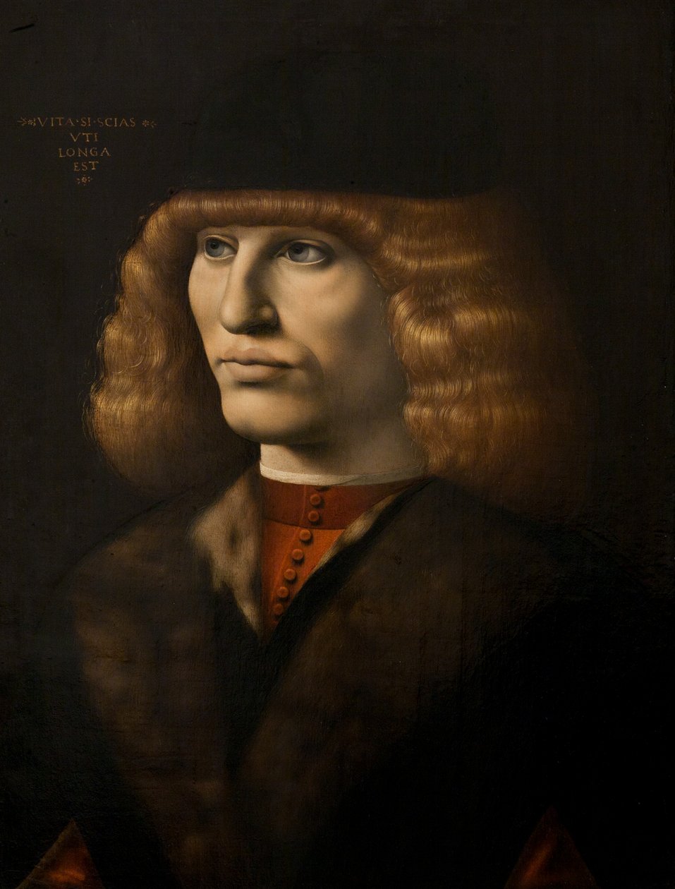 Portrait of a young man, c.1500 (oil on panel) 作者 乔瓦尼·安东尼奥·博尔特拉菲奥