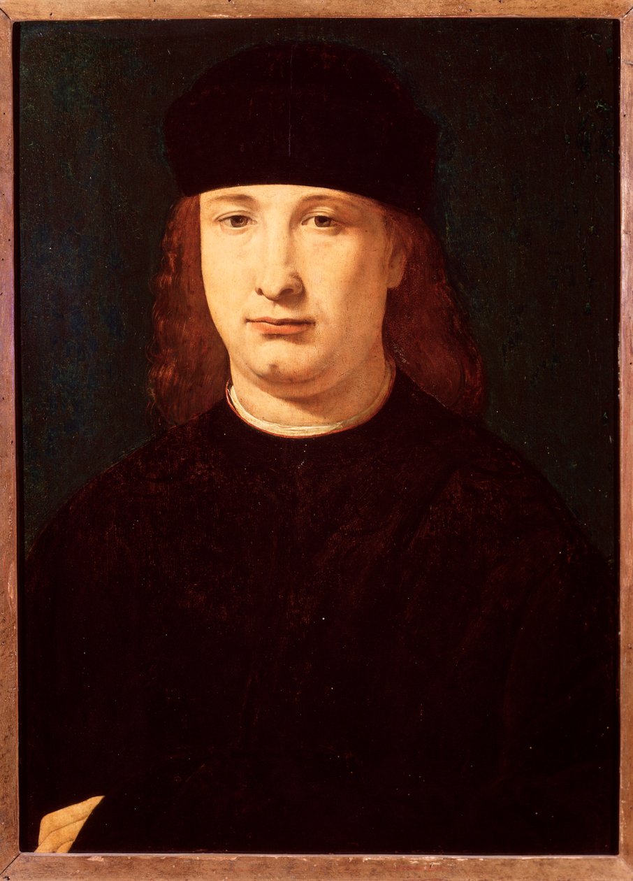 意大利诗人吉罗拉莫-卡西奥的肖像（木板油画，约1500-1520）。 作者 乔瓦尼·安东尼奥·博尔特拉菲奥