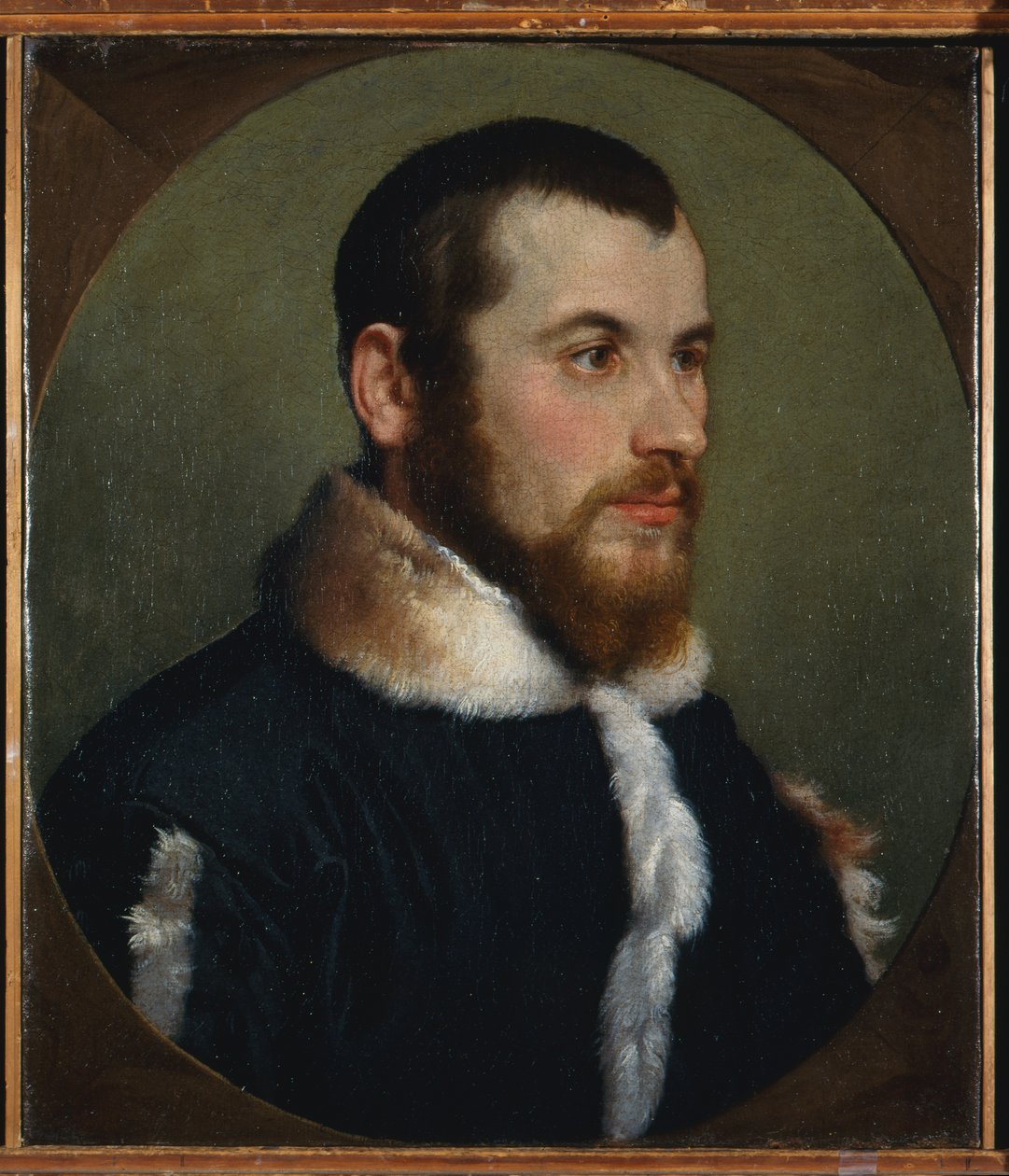 Portrait of a young man, c.1560 (oil on canvas) 作者 乔瓦尼·巴蒂斯塔·莫罗尼