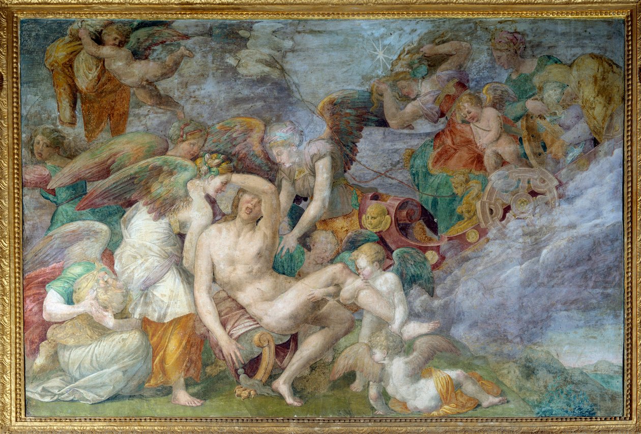 阿多尼斯之死，枫丹白露弗朗索瓦一世画廊第 5 南壁画壁画。 Giovanni Battista di Jacopo Rosso (1494-1541) 的绘画 作者 乔凡尼·巴蒂斯塔·罗索·菲奥伦蒂诺