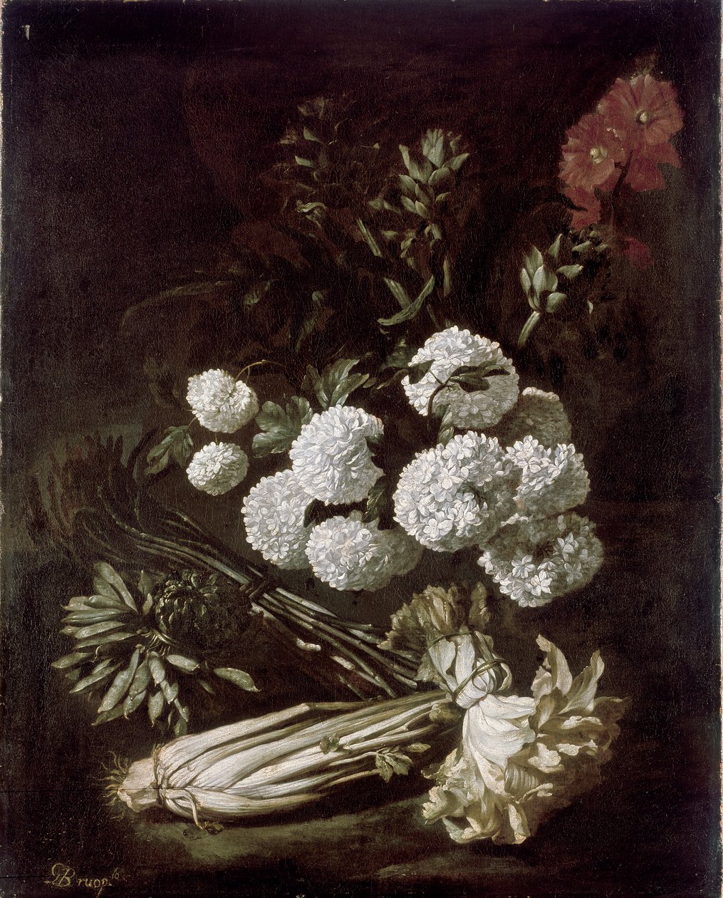 花和蔬菜的静物，1650年代 作者 乔瓦尼·巴蒂斯塔·鲁奥波罗