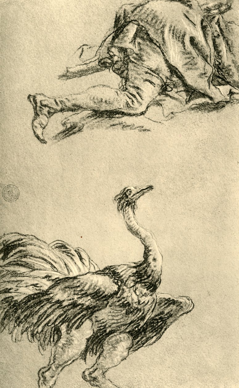 奔跑的鸵鸟，1752-1753年，1928年 作者 乔凡尼·巴蒂斯塔·提埃波罗