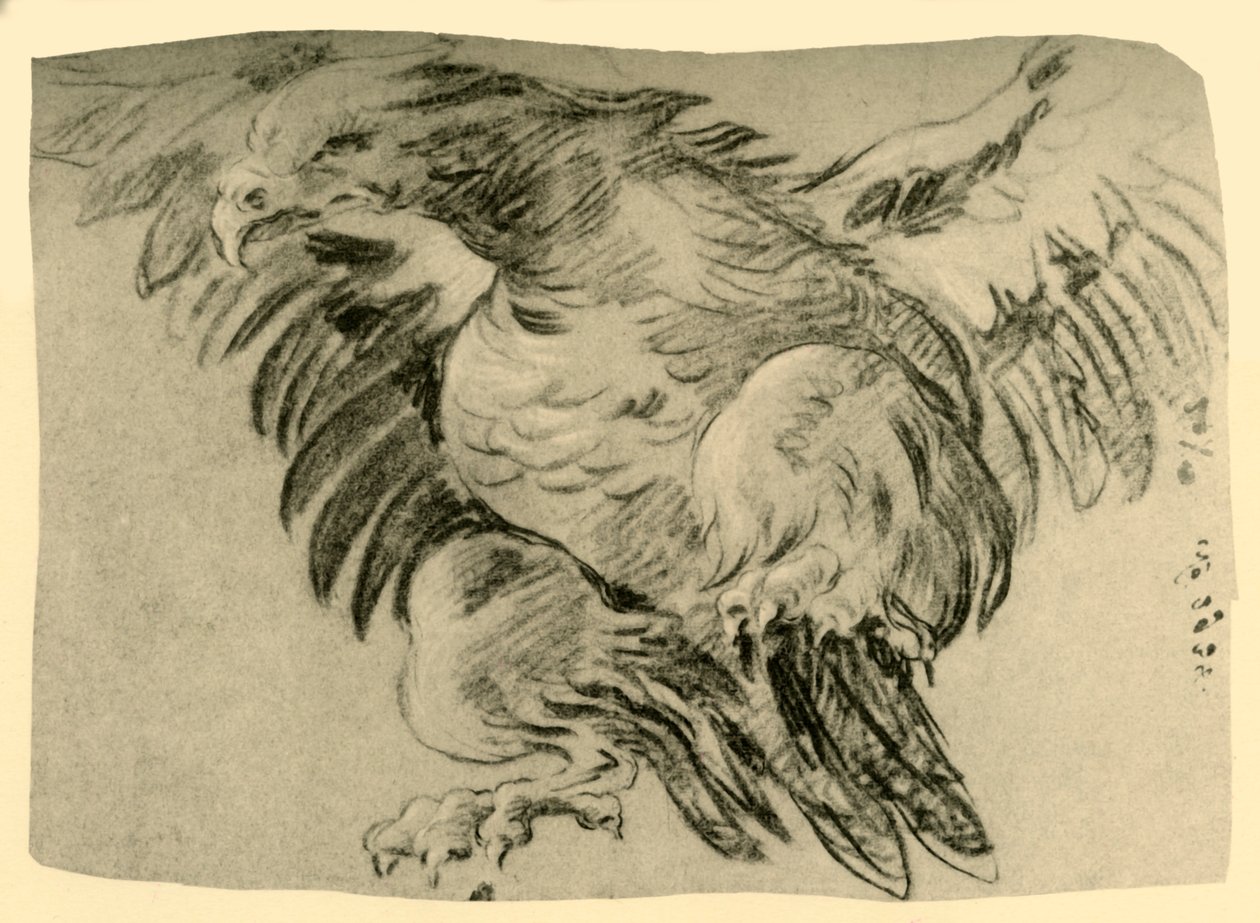 鹰（1751-1752），1928年 作者 乔凡尼·巴蒂斯塔·提埃波罗
