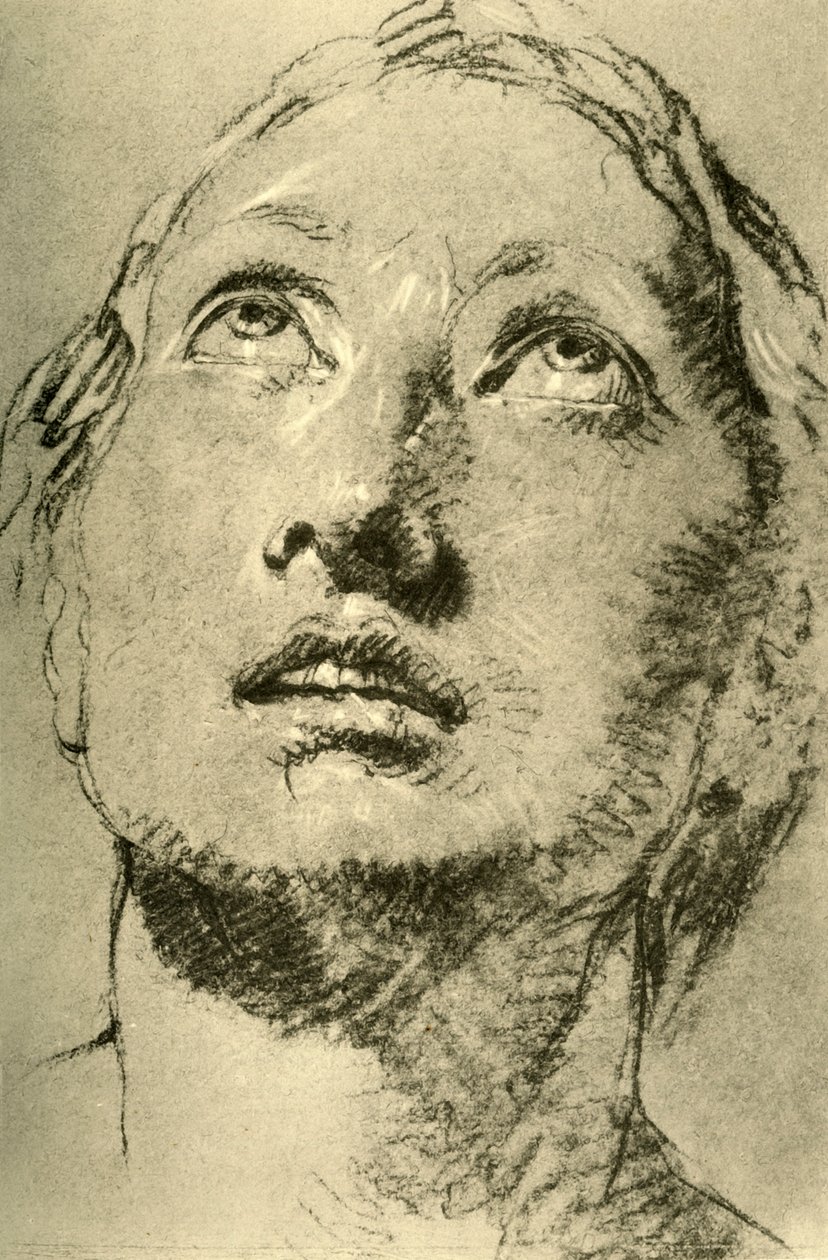 一位年轻女子的头，抬头，c1755，1928年 作者 乔凡尼·巴蒂斯塔·提埃波罗