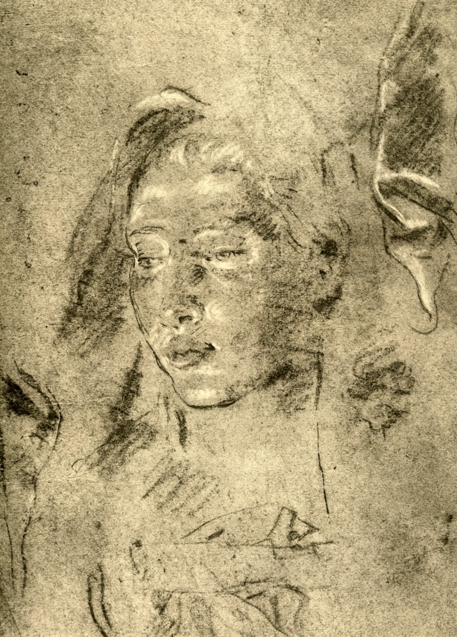 18世纪中叶，一位年轻女子的头，1928年 作者 乔凡尼·巴蒂斯塔·提埃波罗