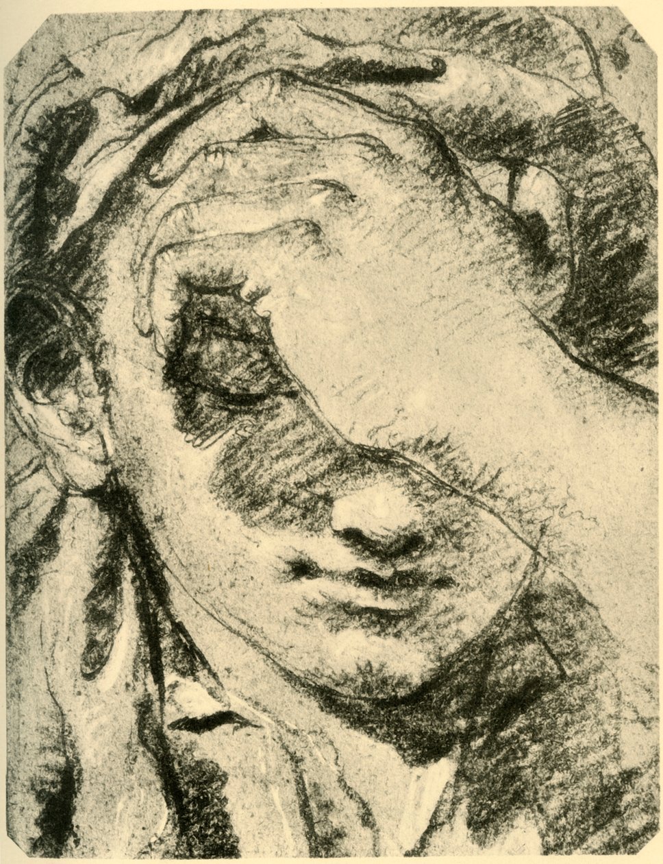 18世纪中叶，一位年轻女子的头，1928年 作者 乔凡尼·巴蒂斯塔·提埃波罗