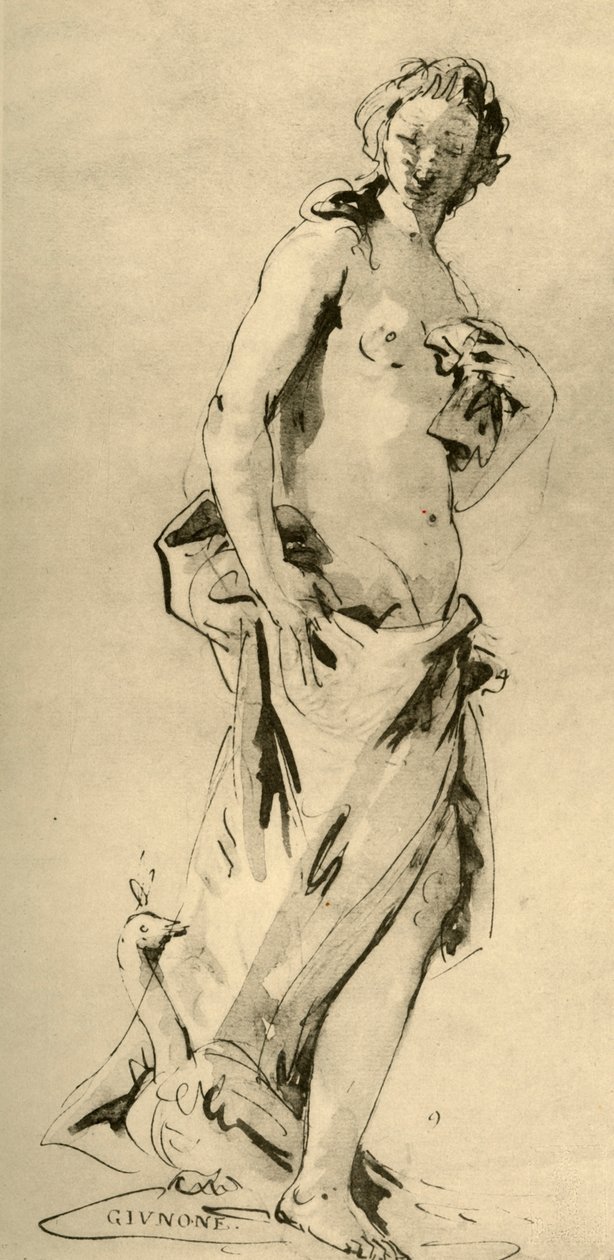 朱诺，18世纪中叶，1928年 作者 乔凡尼·巴蒂斯塔·提埃波罗