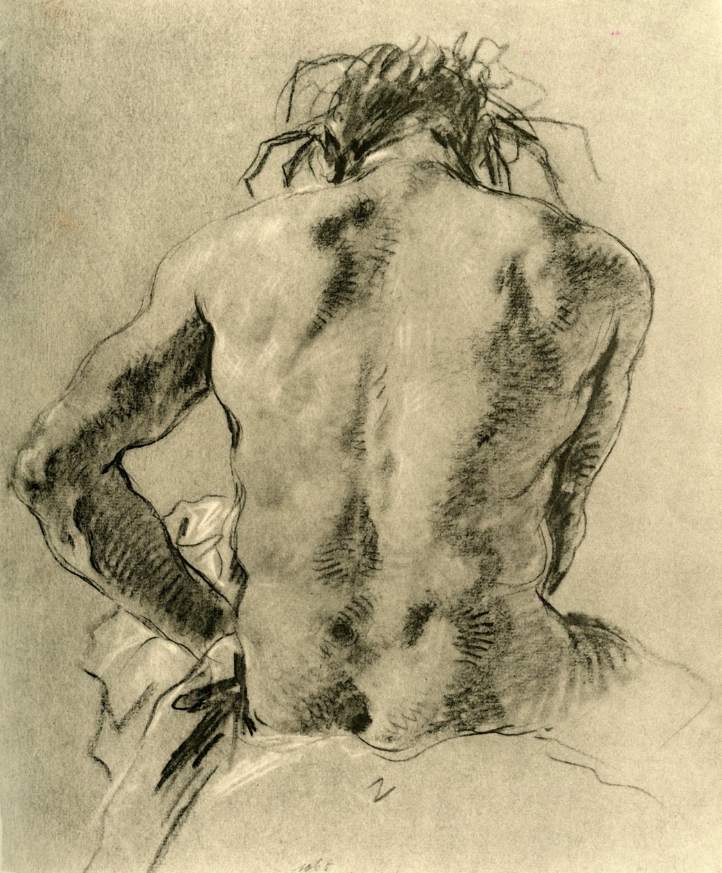 裸体后背，1751，1928 作者 乔凡尼·巴蒂斯塔·提埃波罗