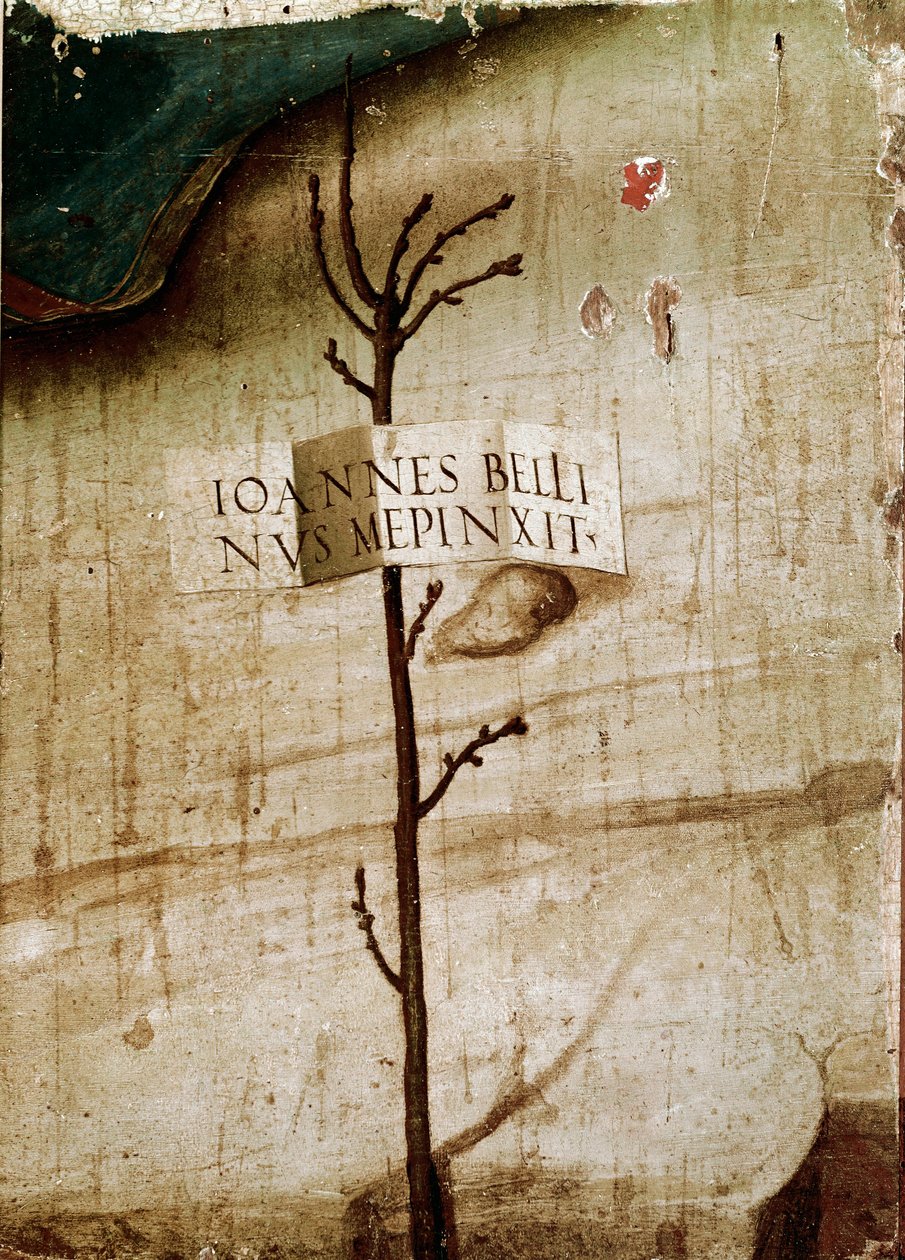小树和卡雷格。详图（面板上的钢笔画 作者 乔凡尼·贝里尼（Giovanni Bellini）