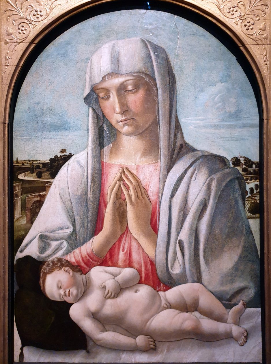 圣母抚摸熟睡的孩子 作者 乔凡尼·贝里尼（Giovanni Bellini）