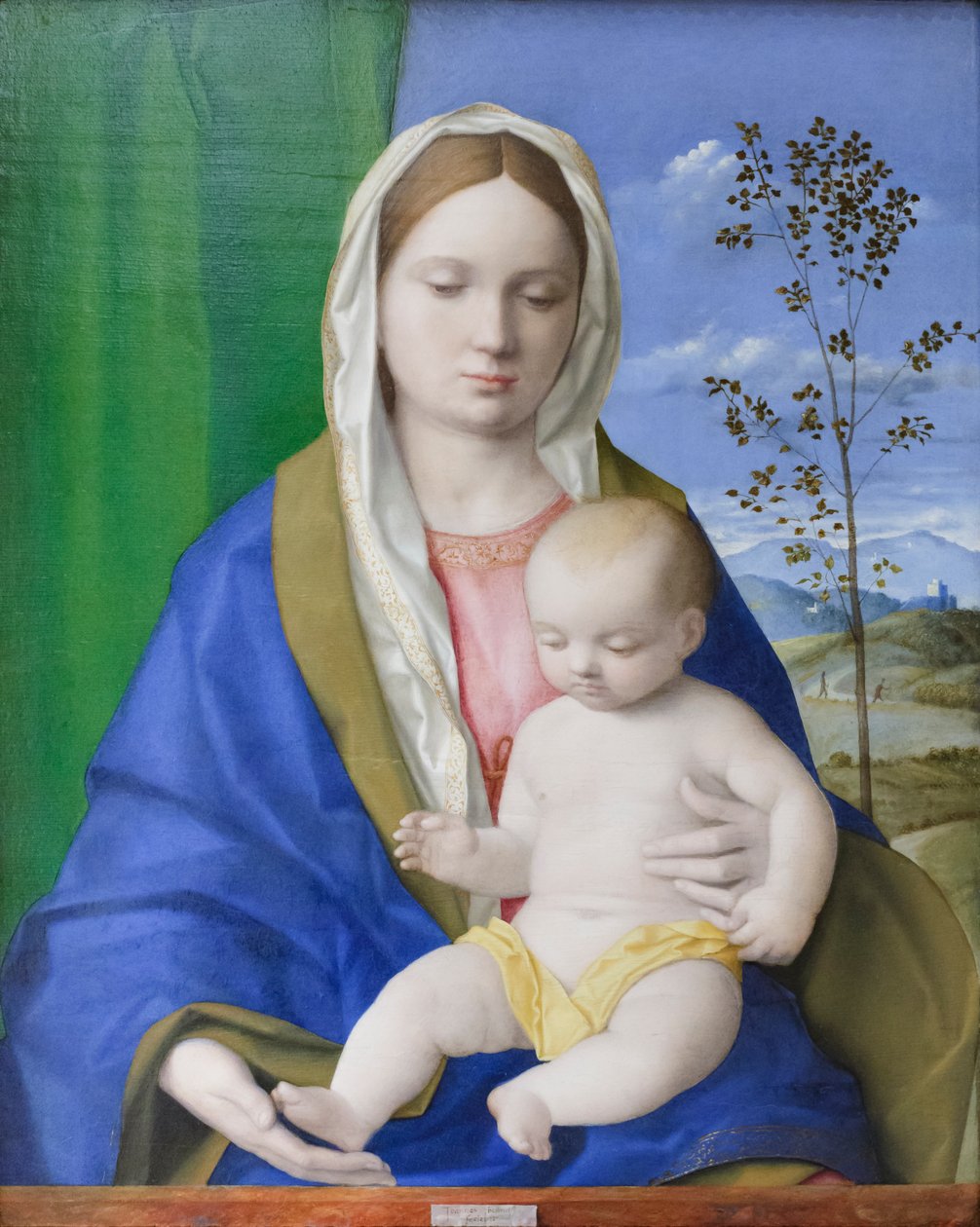 圣母与圣婴，约 1500 年（油画板） 作者 乔凡尼·贝里尼（Giovanni Bellini）