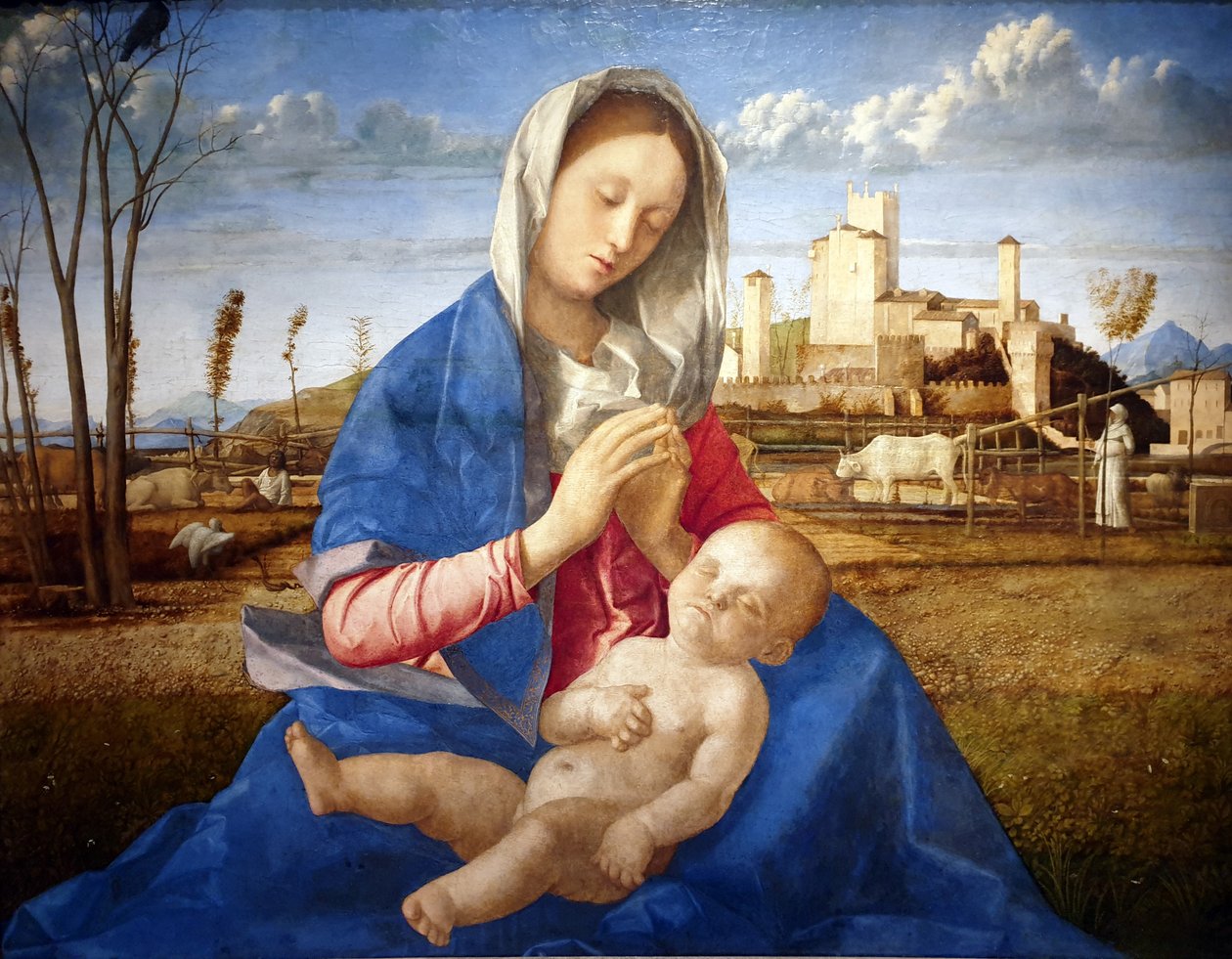 草地圣母 作者 乔凡尼·贝里尼（Giovanni Bellini）