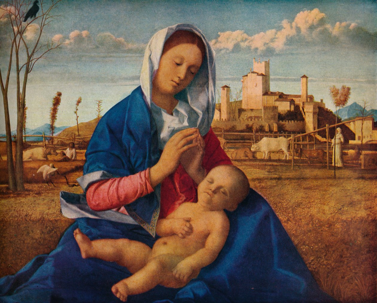 草原圣母玛利亚（c1500） 作者 乔凡尼·贝里尼（Giovanni Bellini）