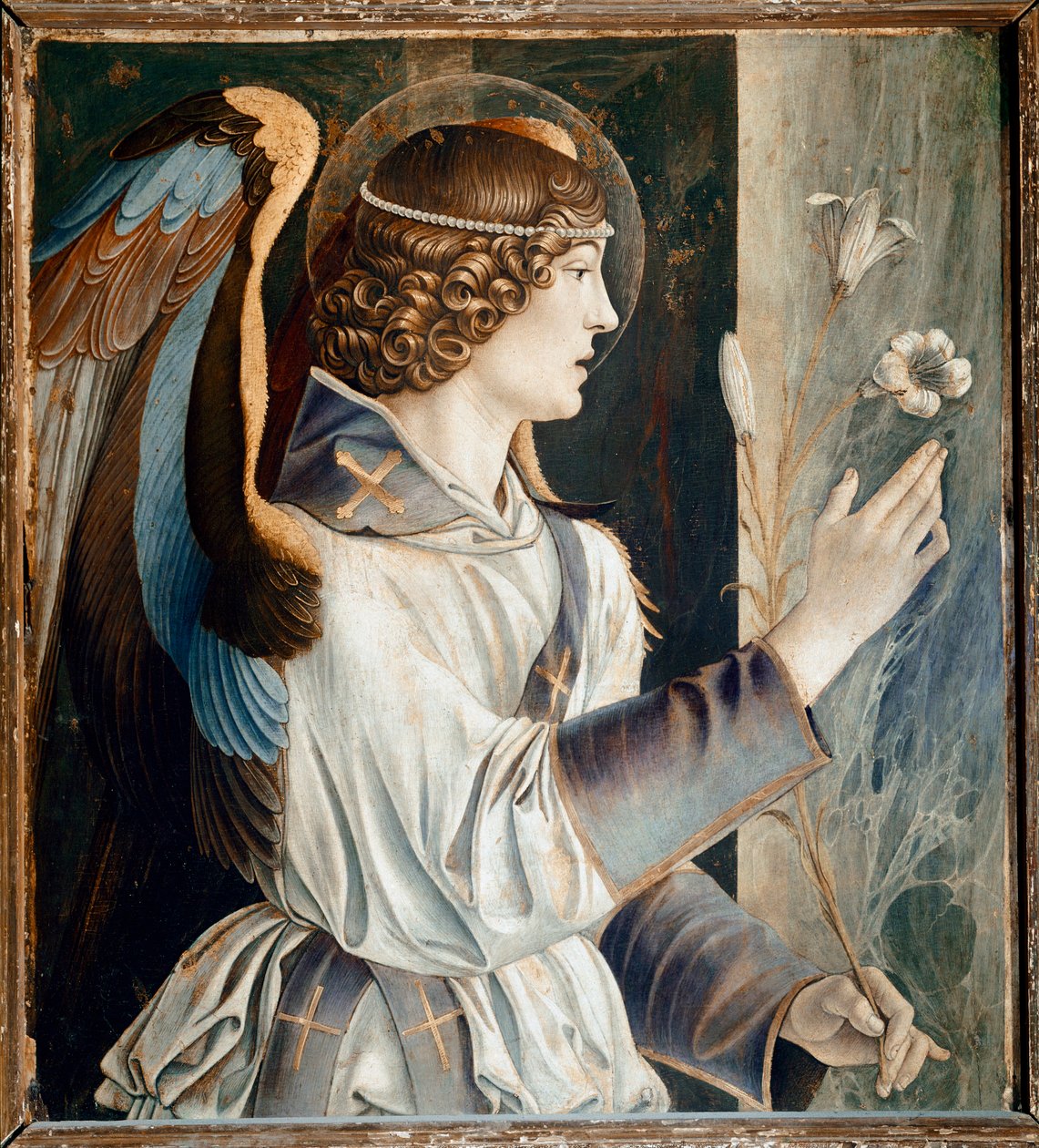 圣文森特-费雷尔的多联画。天使报喜 (Polyptych of St Vincent Ferrer: Angel of the Annunciation) Giovanni Bellini dit il Giambellino (ca. 1432-1516) 1464-1468 Dim 72x67 cm Venice Chiesa dei Santi Giovanni e Paolo 作者 乔凡尼·贝里尼（Giovanni Bellini）