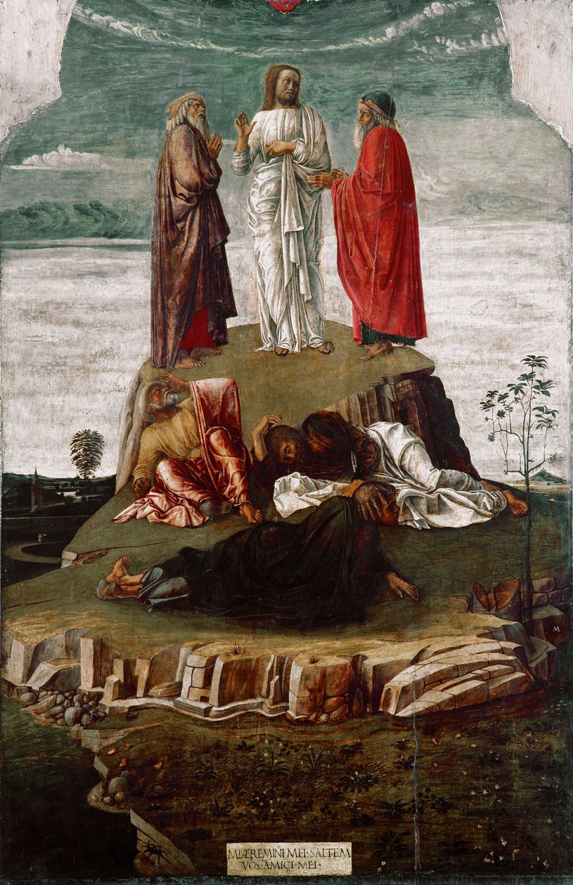 Giovanni Bellini （c.1432-1516）的变形画说 il Giambellino。 1455 Dim. 134x68 cm 威尼斯，Correr 博物馆，编号。 27 作者 乔凡尼·贝里尼（Giovanni Bellini）