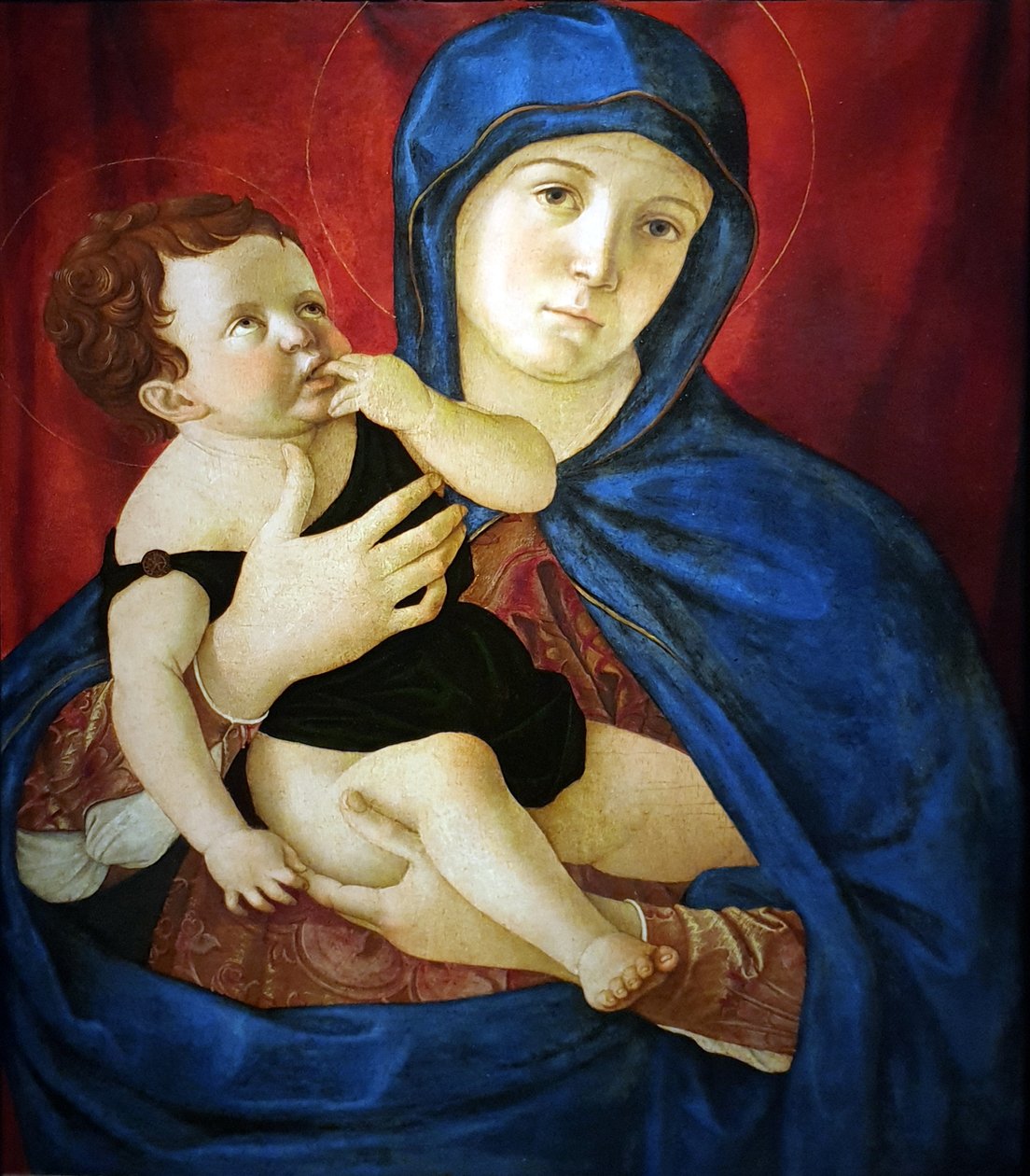 圣母和圣婴 作者 乔凡尼·贝里尼（Giovanni Bellini）