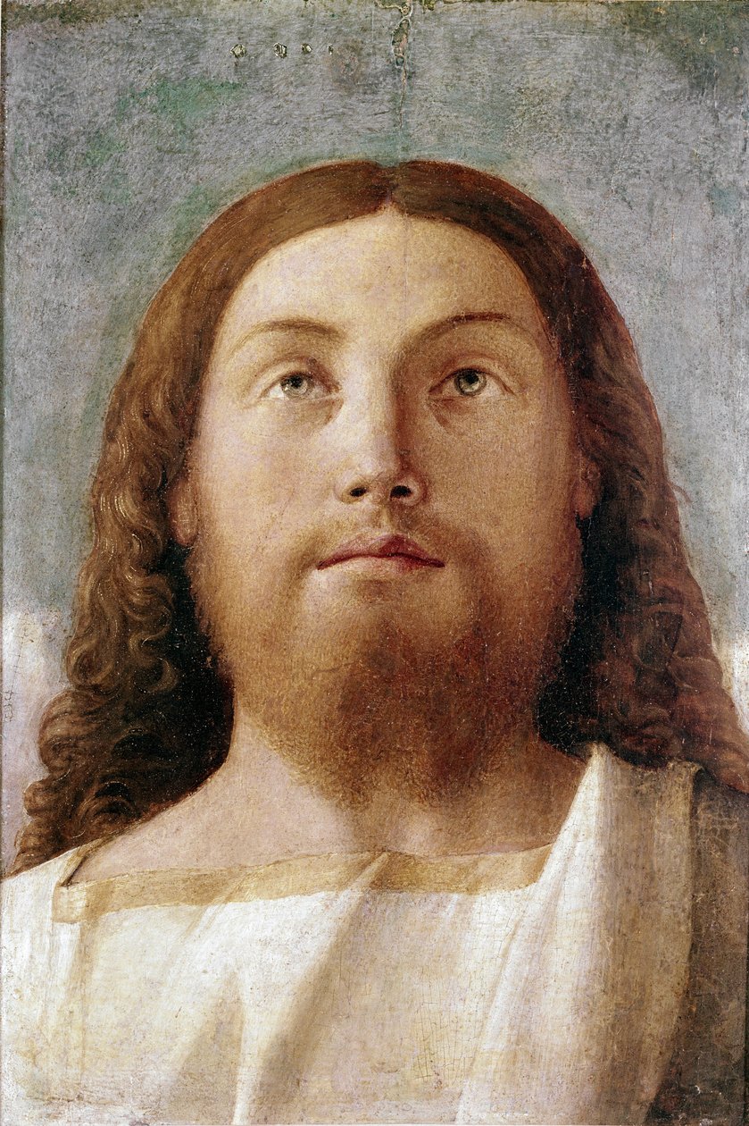 救赎者。详图（面板上的钢笔画 作者 乔凡尼·贝里尼（Giovanni Bellini）