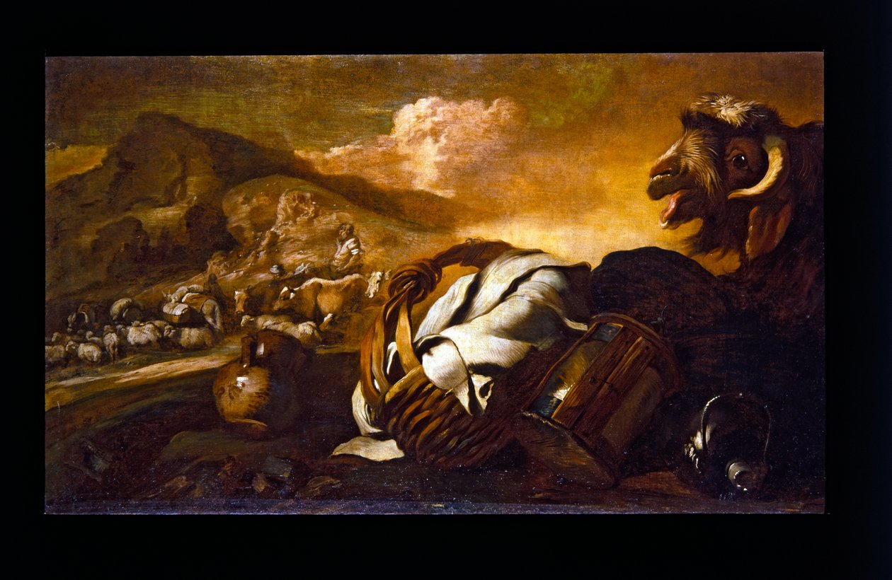 山羊静物画 作者 乔瓦尼·贝内代托 (1609-64) 郎世宁