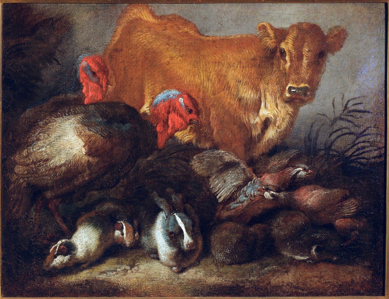 动物研究 牛、火鸡、兔子，Giovanni Benedetto Castiglione dit il Grechetto 作画（1610-1665）Dim.30x38.5 cm Genes，Musei di Strada Nuova 作者 乔凡尼·贝内代托·卡斯蒂廖内