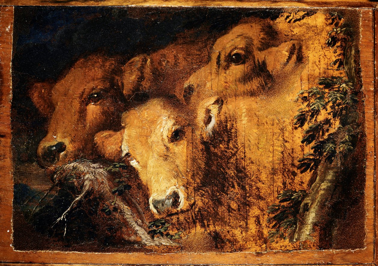 Etude 小牛肉的三个头。 Giovanni Benedetto Castiglione dit il Grechetto (1610-1665) Sun. 24x35 cm Genes, Musei di Strada Nuova 作画 作者 乔凡尼·贝内代托·卡斯蒂廖内