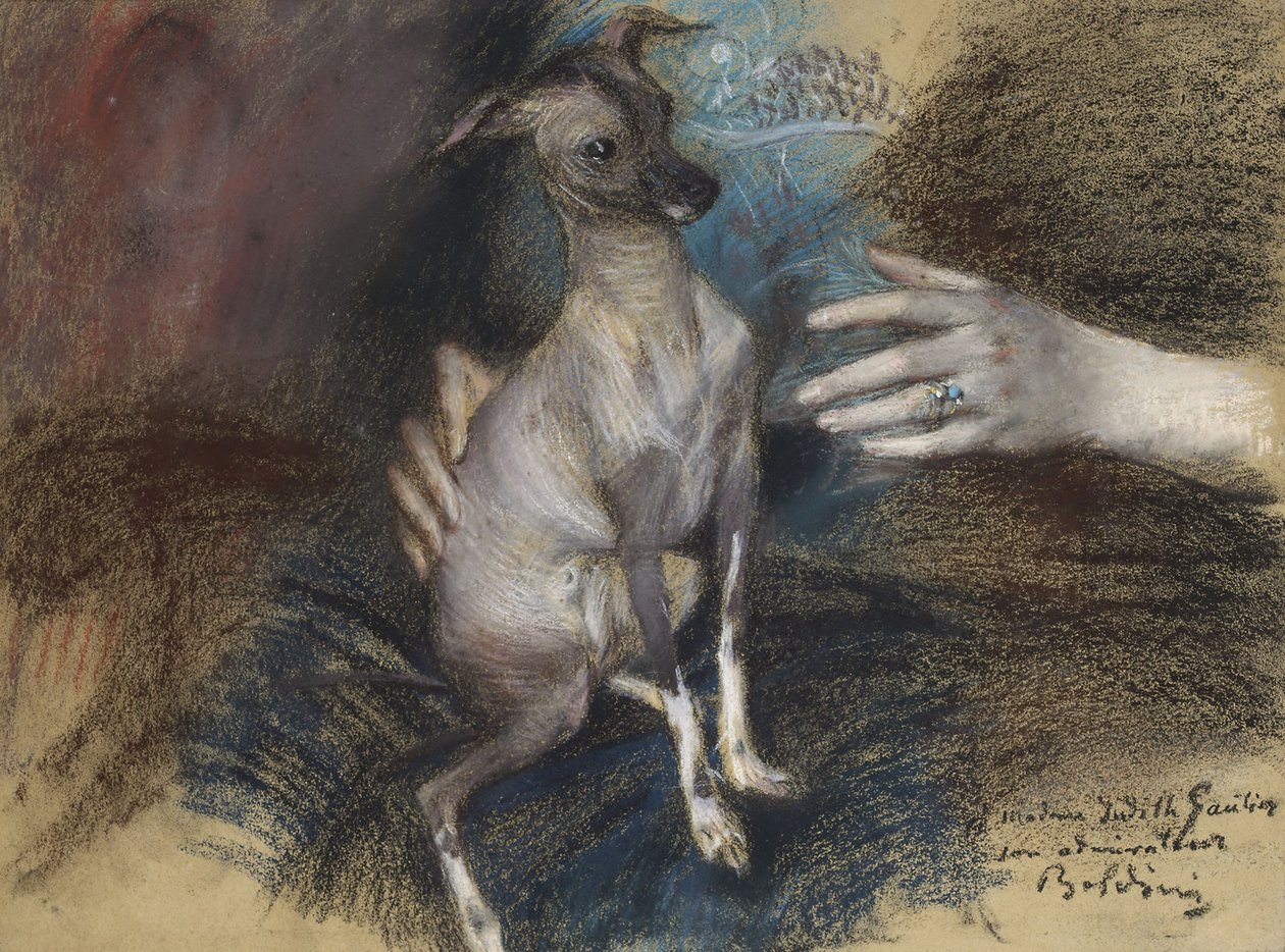 优雅的狗 作者 乔凡尼·博尔迪尼（Giovanni Boldini）