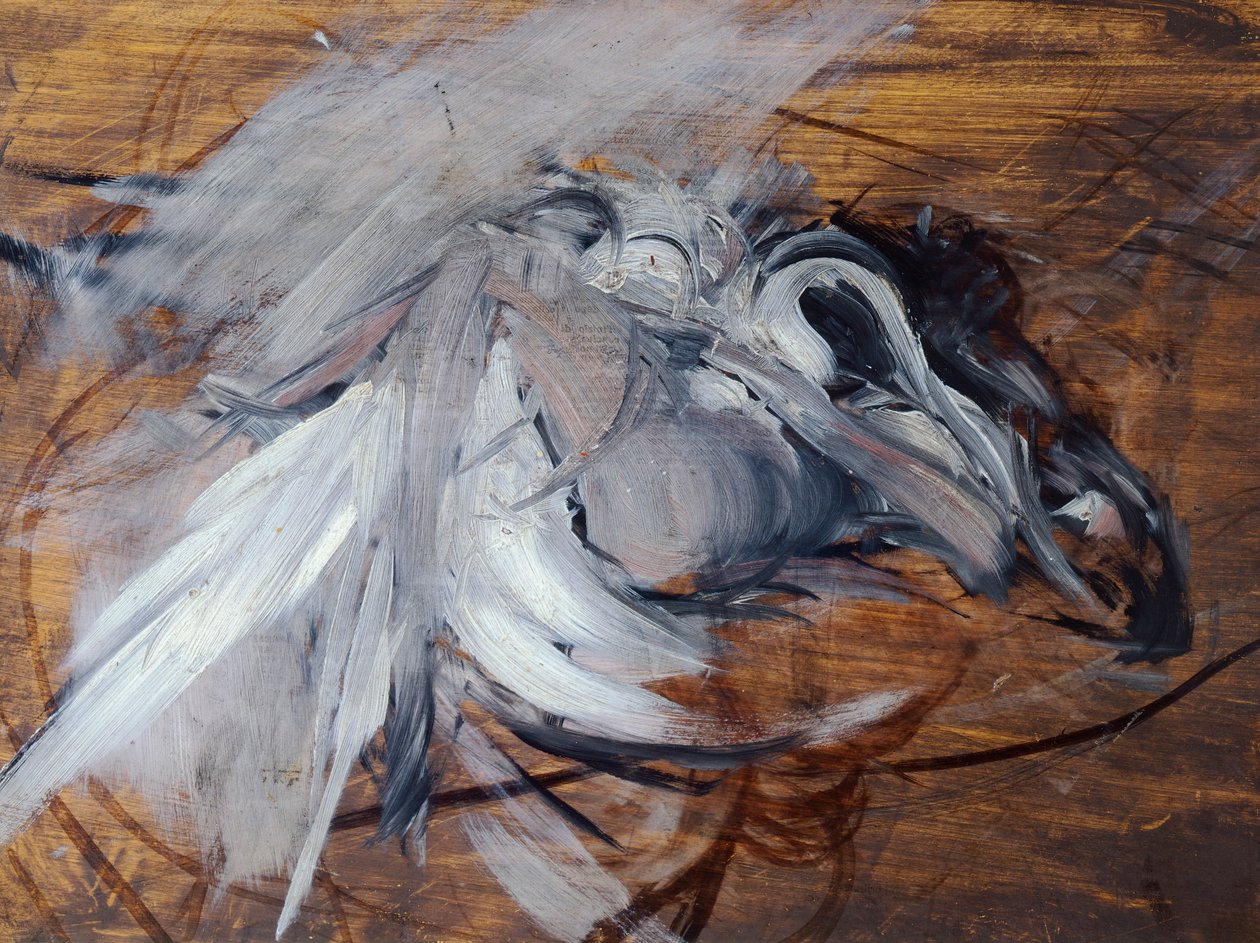 乔万尼-波尔迪尼（1842-1931）的《莱达和天鹅》（Leda and Swan）。 作者 乔凡尼·博尔迪尼（Giovanni Boldini）
