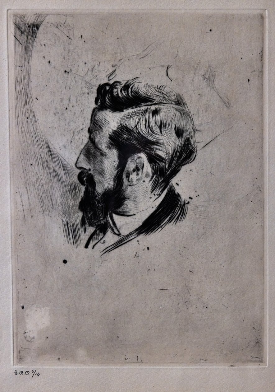 保罗·赫勒的肖像 作者 乔凡尼·博尔迪尼（Giovanni Boldini）