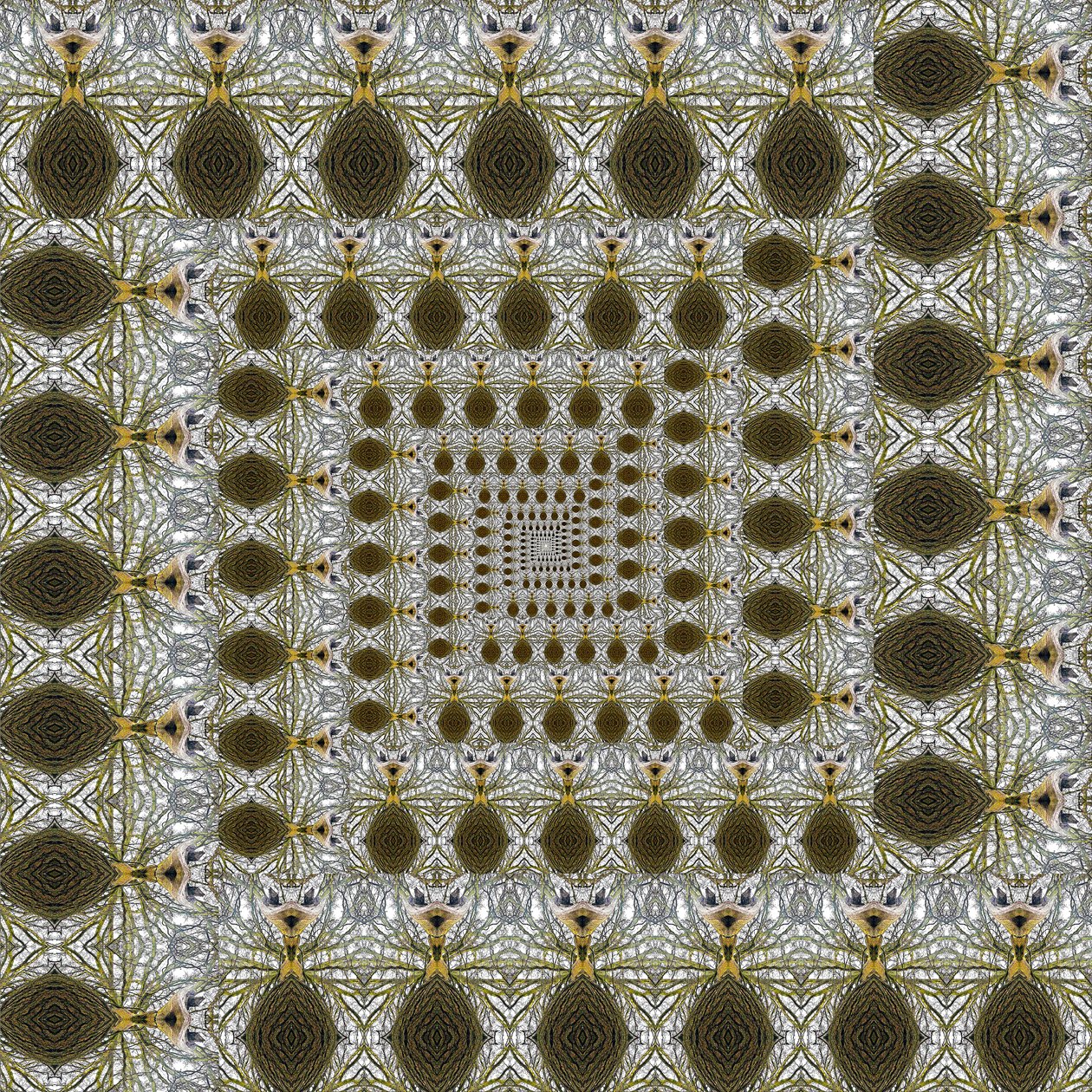 非自然105（数字处理过的照片 作者 乔凡尼·卡法尼亚（Giovanni Cafagna）