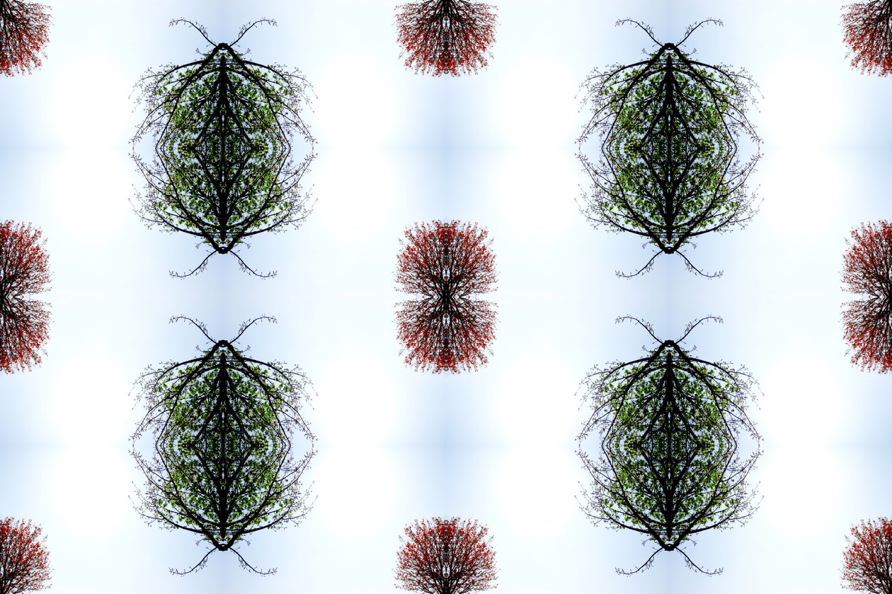 Unnatural 110 (digitally manipulated photo) 作者 乔凡尼·卡法尼亚（Giovanni Cafagna）