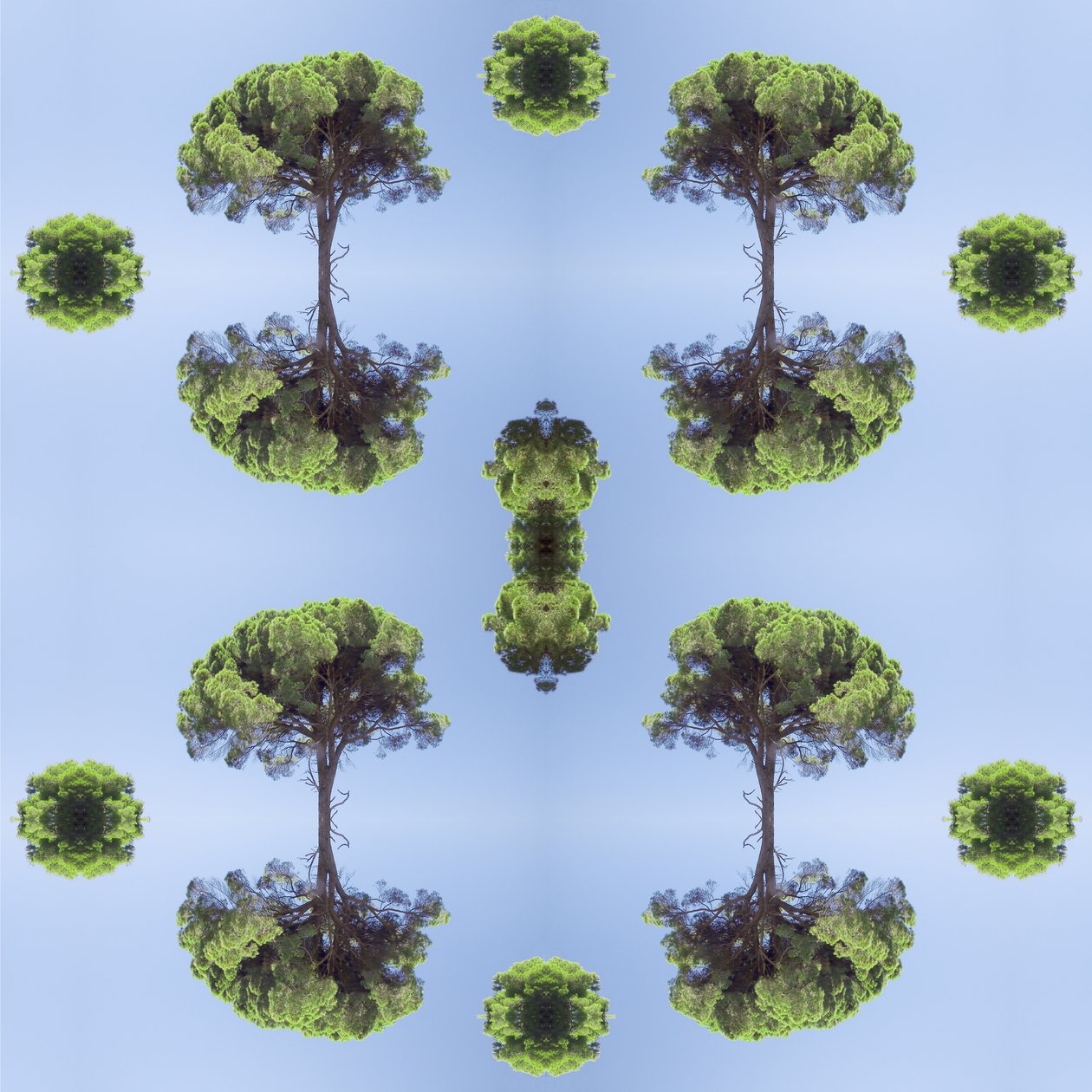 Unnatural 118 (digitally manipulated photo) 作者 乔凡尼·卡法尼亚（Giovanni Cafagna）