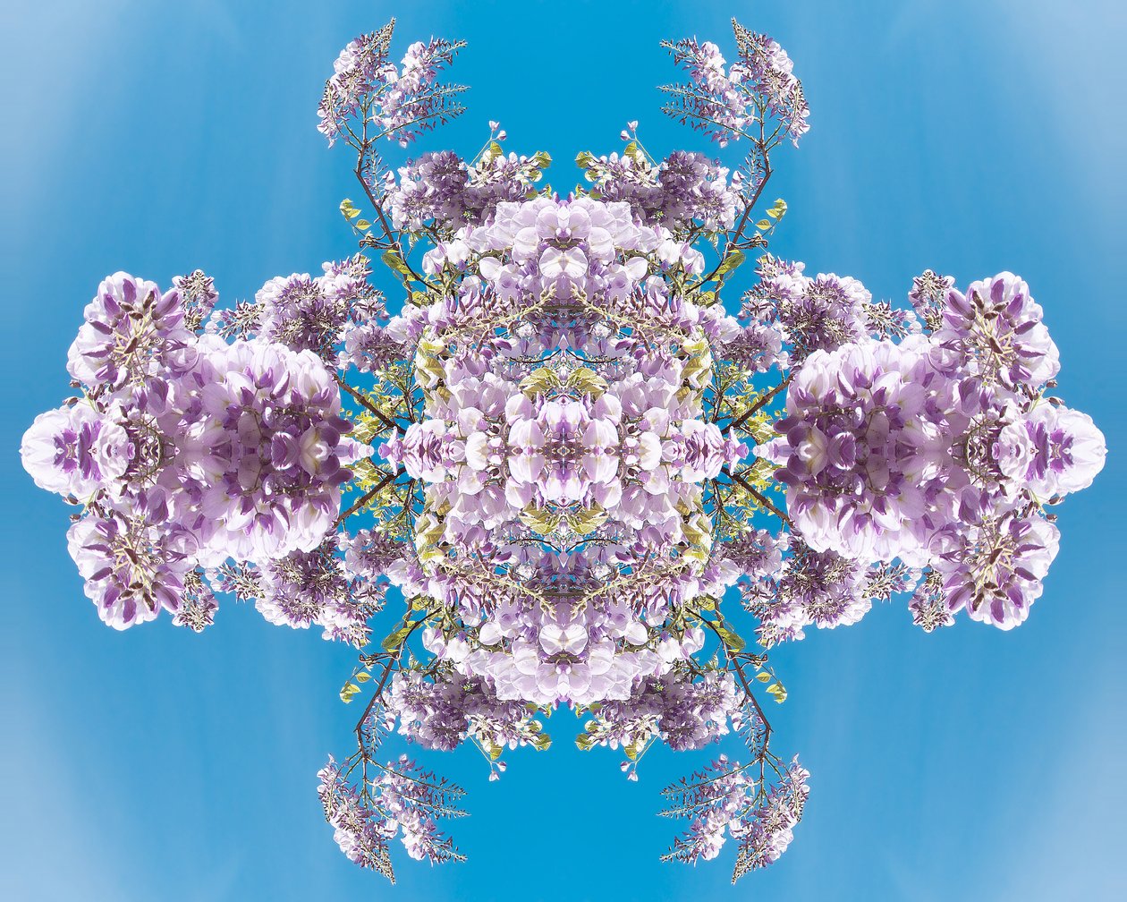 Unnatural 180 (digitally manipulated photo) 作者 乔凡尼·卡法尼亚（Giovanni Cafagna）