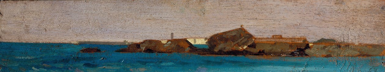 蓝色的大海，约 1865 年（木板油画） 作者 乔凡尼·法托里（Giovanni Fattori）