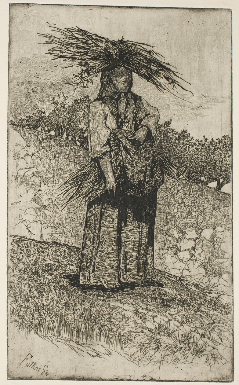 博斯凯奥拉 作者 乔凡尼·法托里（Giovanni Fattori）
